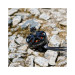 Двигун для дрона Foxeer Black Hornet 2806.5 1350KV упаковка 168шт (MT1122_168bulk)