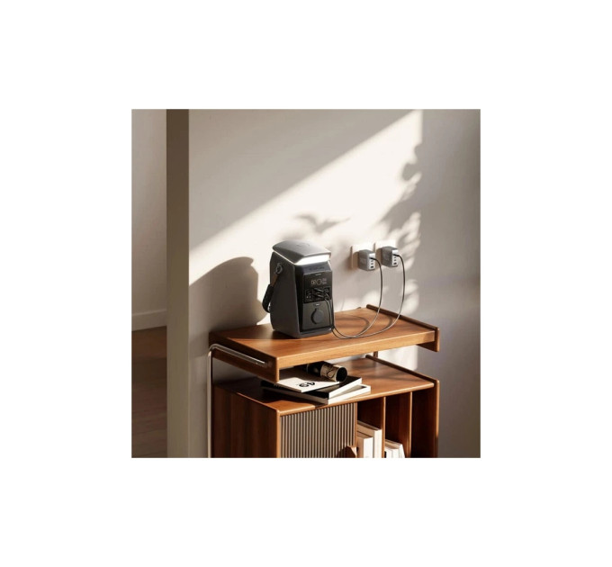 Зарядна станція EcoFlow TRAIL Plus 300 DC 300W 288 Wh (EF-TRAIL300Plus-N)